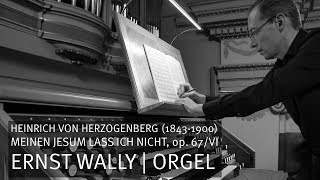 Heinrich von Herzogenberg 18431900 Meinen Jesum lass ich nicht op 67VI Ernst Wally  Orgel [upl. by Enilesor]