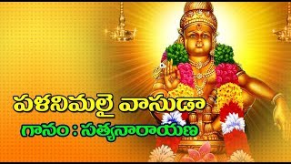 palani malai vasuda song  ayyappa song [upl. by Biamonte137]