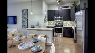 The Belvedere at Springwoods Village  B Floor Plan Tour [upl. by Ailaza]