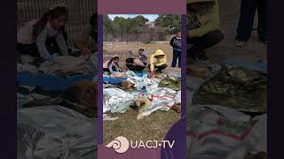 Voluntariado para los animalitos [upl. by Iggem]