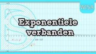 Examen wiskunde A  Exponentiële verbanden [upl. by Yllime]