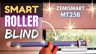 Zemismart Smart Blind Motor MT25B Rechargeable [upl. by Gan954]