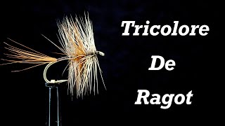 Tricolore de Ragot  Dry Fly [upl. by Cony]