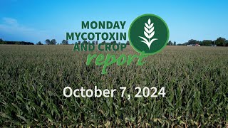 Monday Mycotoxin and Crop Report for October 7 2024 [upl. by Ahsied]