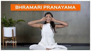 Bhramari Pranayama  Bhramari Pranayama for Beginners  Bhramari Pranayama Breathing Exercise [upl. by Srednas587]