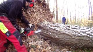 Cutting an uprooted tree  Jonsered 2045 [upl. by Devinna451]