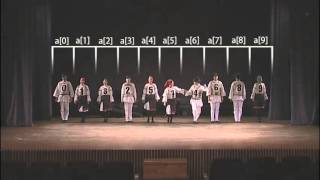 Bubble sort with Hungarian folk dance [upl. by Ayenet]