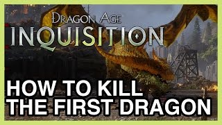 How to Kill The First Dragon of Dragon Age Inquisition  The Fereldan Frostback [upl. by Milde]