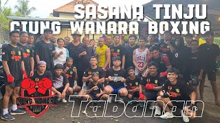 MONEV SASANA 🔴CIUNG WANARA BOXING CLUB TABANAN‼️ [upl. by Adnahsar]