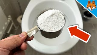 Kippe WASCHPULVER in die TOILETTE und du wirst mir EWIG DANKBAR SEIN💥Genialer TRICK🤯 [upl. by Lateh]