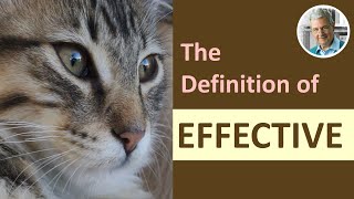 What is the Definition of EFFECTIVE 3 Examples [upl. by Darline503]