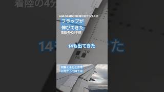 ✈️フラップが出てきた 0の目盛りが動いた 10と14が出てきた 熊本空港に向けて降下中 緑川の河口が見えた頃 フラップ 飛行機の窓から観た a321 flap scale [upl. by Zinck]