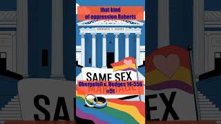 Protect samesex marriage Obergefell v Hodges Landmark MarriageEquality SupremeCourt case 51 [upl. by Lav985]