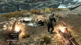 Investigate the Boethia Cultist  Misc Quest Event  Elder Scrolls 5 Skyrim [upl. by Florida]