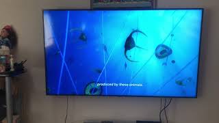 Samsung RU9000 4K Crystal UHD Smart TV Review [upl. by Egwin]