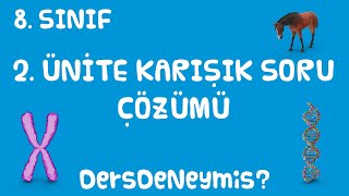 2 ÜNİTE DNA KARIŞIK SORU ÇÖZÜMÜ 8 SINIF LGS [upl. by Ahsinrats929]