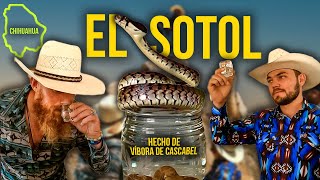 El SOTOL un trago hecho de VÍBORA DE CASCABEL  La cultura de Chihuahua México [upl. by Atteugram]