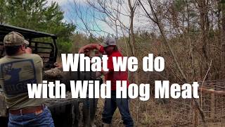 What we do with Wild Hog Meat [upl. by Ynogoham]