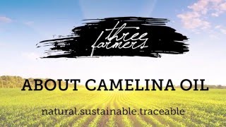 Three Farmers  About Camelina Oil [upl. by Merlina]