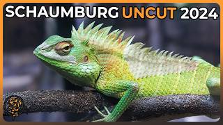 The Uncut NARBC Schaumburg 2024 Reptile Show [upl. by Anert961]