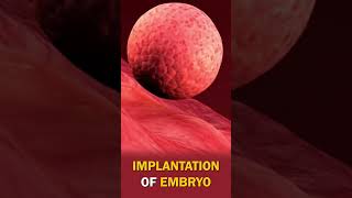 Implantation of Human Embryo [upl. by Suiradel]