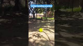 yorker bowling practice at home❤youtubeshorts bumrah youtubeshorts [upl. by Ronaele]