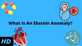 What Is An Ebstein Anomaly Heres Everything You Need To Know [upl. by Koblick]