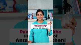 Pankaj Ke Nuskhe I How to get rid of Ants in the Kitchen I Shorts I Pankaj Bhadouria [upl. by Dhiren309]