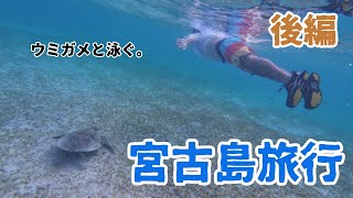 【宮古島】宮古島３泊４日の旅。野生のウミガメと遭遇！？ 後編 [upl. by Ydualc361]