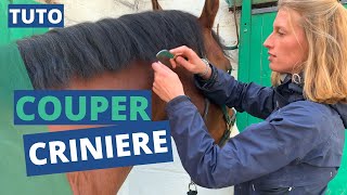 Raccourcir une crinière sans ciseaux et sans trimer 🐴✂️ [upl. by Ervine317]