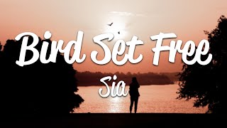 Sia  Bird Set Free Lyrics [upl. by Akeemaj]