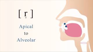 r̥  unvoiced apical alveolar trill [upl. by Aynotal961]