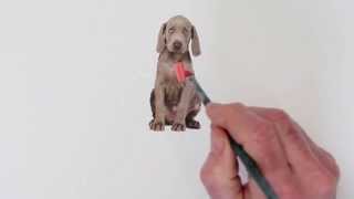 William Wegman Painting Flo [upl. by Gauthier]