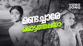 Mandachaare Mottathalaya Super Hit Malayalam Comedy Song  Sindooracheppu  Old is Gold [upl. by Benita]