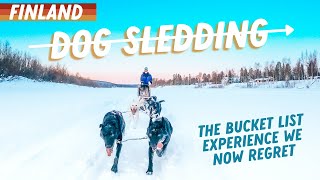 IS DOG SLEDDING ETHICAL The Bucket List Experience We Now Regret [upl. by Rand]