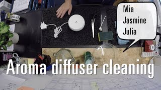 How to clean your essential oil  aroma diffuser [upl. by Osbourne]