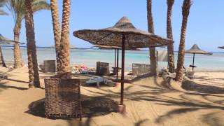 Beach hotel Calimera Habiba Marsa Alam [upl. by Auqenes]