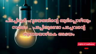 പിടച്ചിടുമീ ഹൃദയത്തിന്റെ lyrics ത്വാഹാ തങ്ങൾ 2020 [upl. by Hacim]