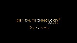 Diş Morfolojisi Alt Birinci Büyük Azı Diş  Mandibular First Molar İn Soap [upl. by Barbabas606]