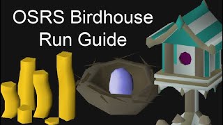 OSRS Easy Birdhouse Run Guide Fossil Island Runescape [upl. by Eckart]