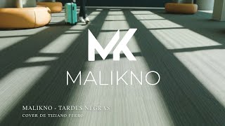 Malikno  Tardes Negras  Tiziano Ferro cover [upl. by Calvo652]