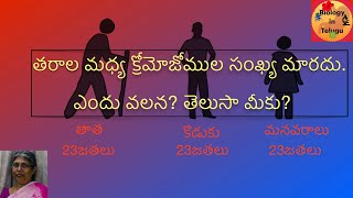 Meiosis in Telugu  class 10 unit ప్రత్యుత్పత్తి [upl. by Hanad]