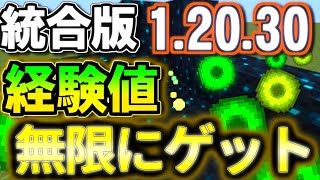 【統合版12030】経験値はこれで無限です【ゆっくり実況】【経験値トラップ】 [upl. by Nehepts]