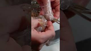 Shrimp Cleaning and Butterflying From Raw to Ready recipe shrimp homemade [upl. by Thompson971]