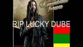 Lucky Dube  Nobody Can Stop Reggae [upl. by Atneuqal]