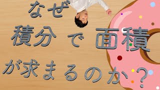 【直感でわかる積分】なぜ積分で面積が求まるのか？視覚的イメージでわかりやすく解説！ [upl. by Goldberg]