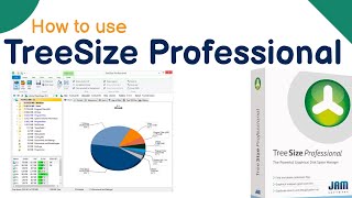 What is TreeSize Professional software  How to use  Tutorial in Hindi  Full explained  TreeSize [upl. by Ellissa]