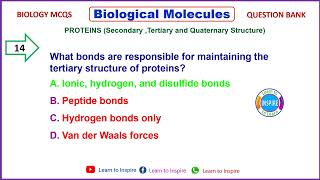 Proteins SecondaryTertiary and Quaternary Structure biologicalmolecules biologicalmoleculesmcqs [upl. by Annaj443]