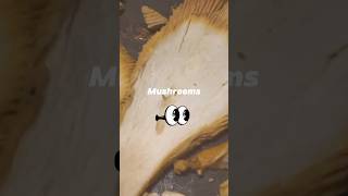 Chanterelle Mushrooms follow for full video Subscribe for cheap food ideas cooking foodie recipe [upl. by Noli911]