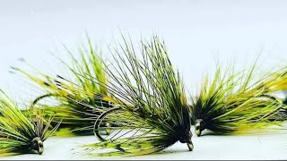 Tying a Olive Dropper pattern with Scott Jackson 2024 [upl. by Madi]